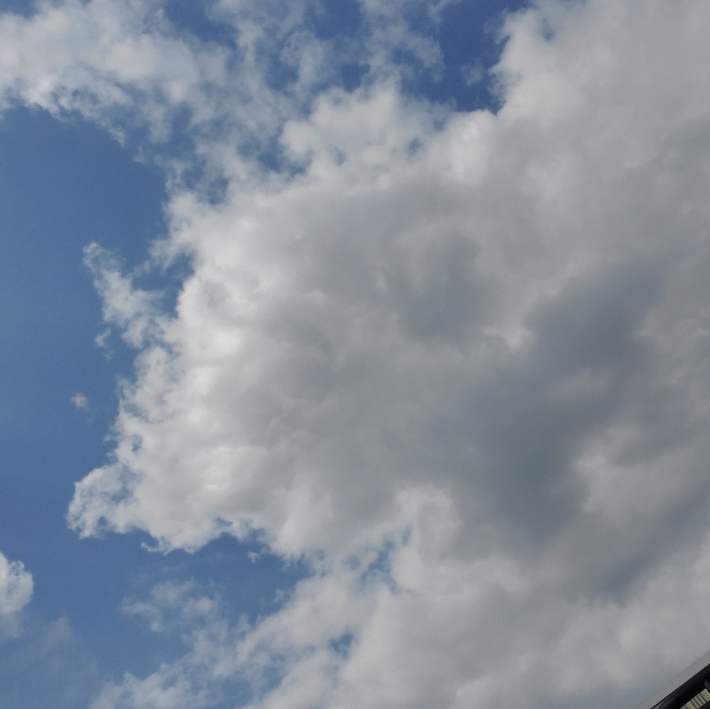 Meet your Posher, Renee